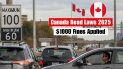 Road Transportation Laws 2025 — New Canada Highway Rules Bring $1,000 Fines for Unsafe Drivers