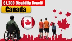 $1,200 Canada Disability Benefit 2025 – CRA Confirms Monthly Payment and Eligibility!